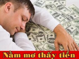 Nằm mơ thấy tiền đánh con gì?