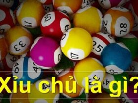 Xỉu chủ là gì?