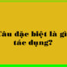 Câu đặc biệt là gì?