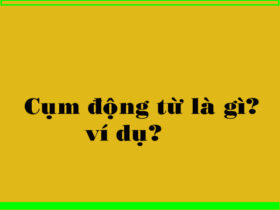 Cụm động từ là gì?