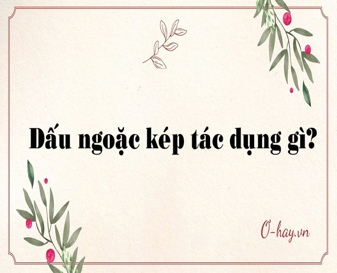 Dấu ngoặc kép là gì? có tác dụng gì?