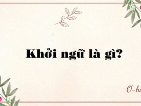 Khởi ngữ là gì?