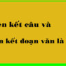 liên kết câu văn đoạn văn?