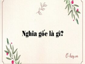 Nghĩa gốc là gì?