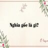 Nghĩa gốc là gì?