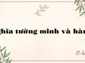Nghĩa tường minh là gì? nghĩa hàm ý là gì?