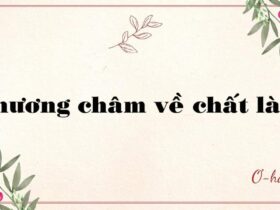 Phương châm về chất là gì?