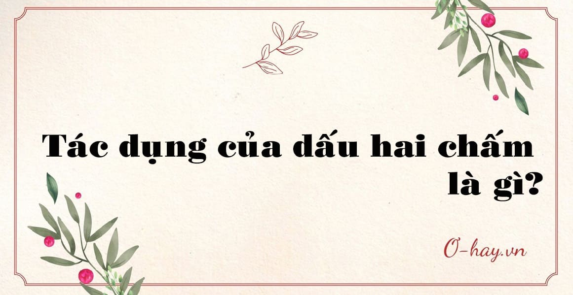 Tác dụng của dấu hai chấm là gì?