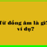 Từ đồng âm là gì?