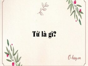 Từ là gì? Đặc điểm của từ