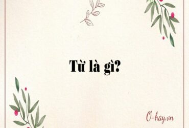 Từ là gì? Đặc điểm của từ