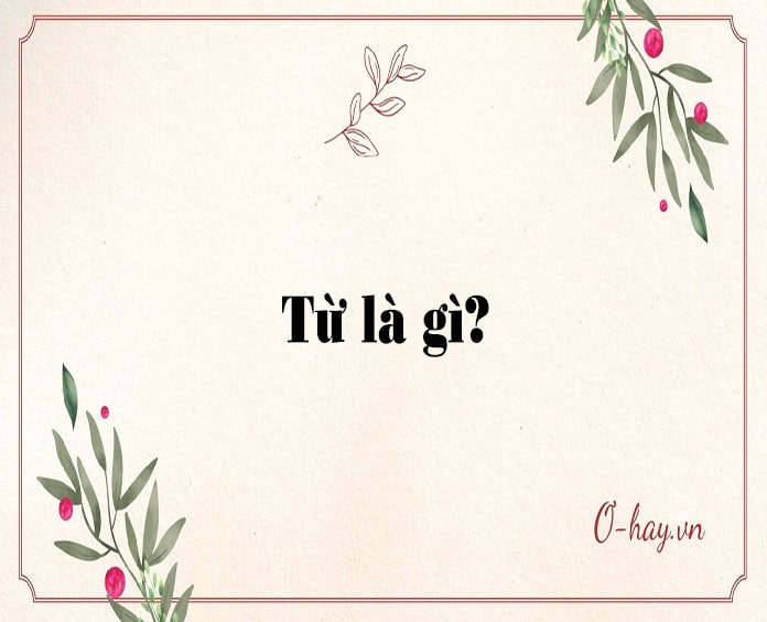 Từ là gì? Đặc điểm của từ