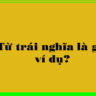 Từ trái nghĩa là gì?