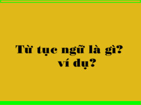 Tục ngữ là gì?