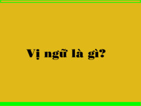 Vị ngữ là gì?