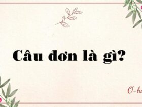 Câu đơn là gì?