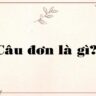 Câu đơn là gì?