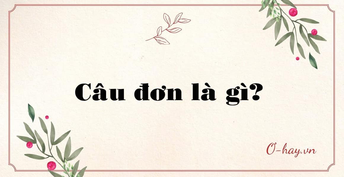 Câu đơn là gì?