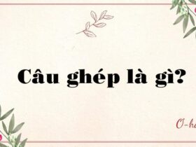 Câu ghép là gì