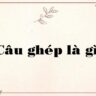 Câu ghép là gì