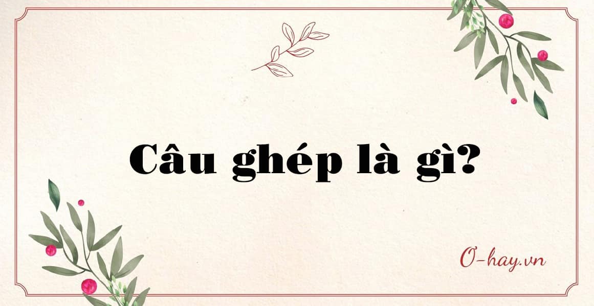 Câu ghép là gì