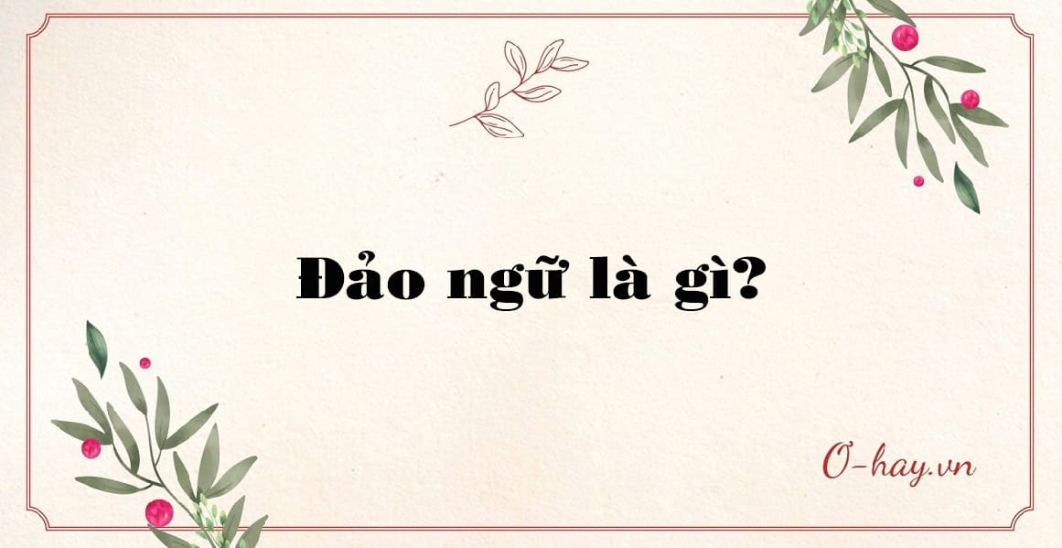 Đảo ngữ là gì?