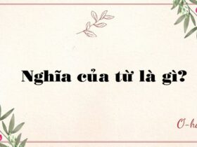 Nghĩa của từ là gì?