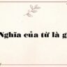 Nghĩa của từ là gì?