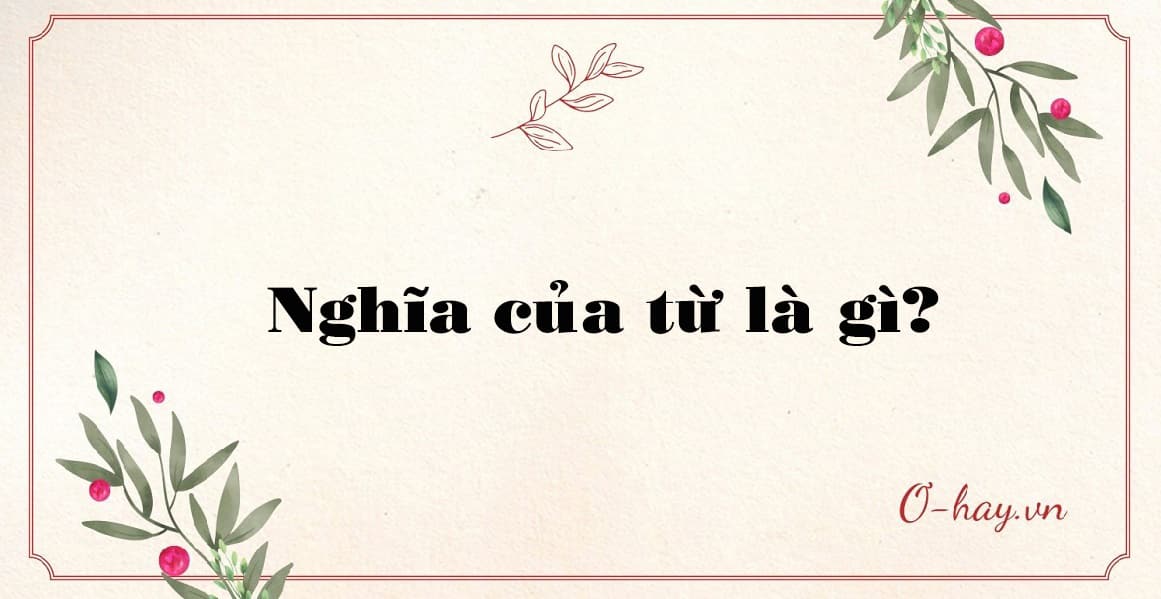 Nghĩa của từ là gì?
