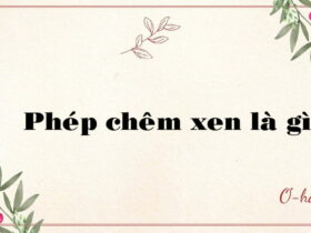 Phép chêm xen là gì?