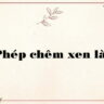 Phép chêm xen là gì?