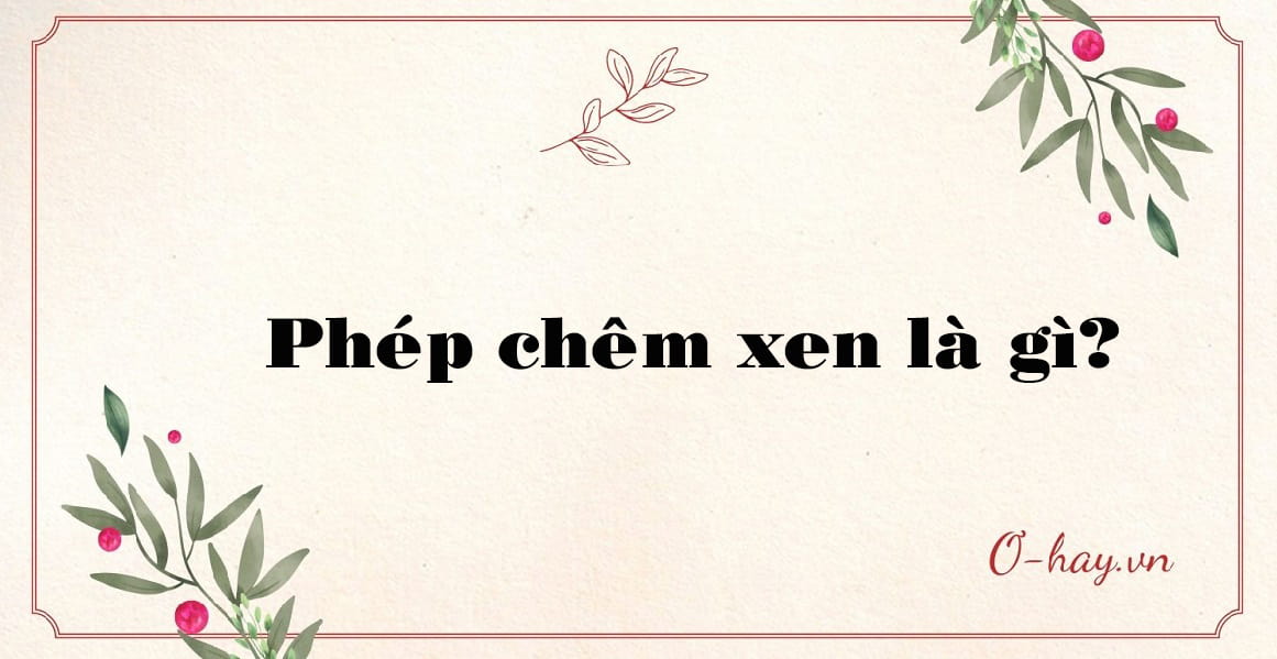 Phép chêm xen là gì?