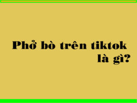 Phở bò trên tiktok là gì?