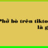 Phở bò trên tiktok là gì?