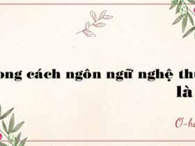 Phong cách ngôn ngữ nghệ thuật là gì?