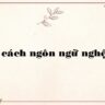Phong cách ngôn ngữ nghệ thuật là gì?