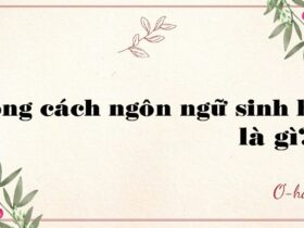 Phong cách ngôn ngữ sinh hoạt là gì?