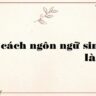 Phong cách ngôn ngữ sinh hoạt là gì?