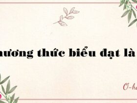Phương thức biểu đạt là gì? Các loại phương thức biểu đạt