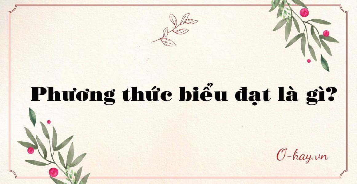 Phương thức biểu đạt là gì? Các loại phương thức biểu đạt