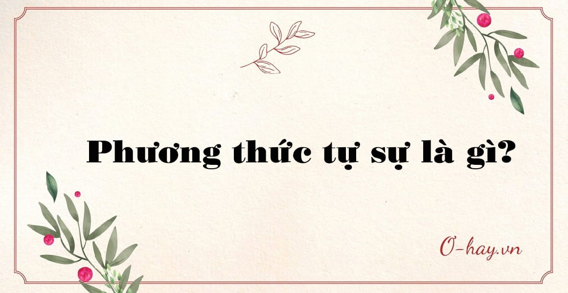 Phương thức biểu đạt tự sự là gì?