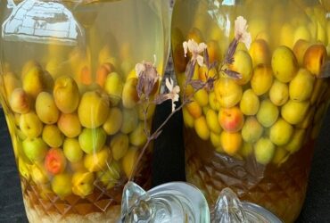 Cách ngâm rượu mơ mật ong