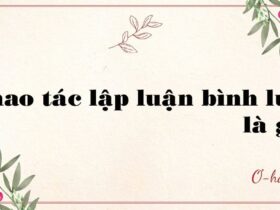 Thao tác lập luận bình luận là gì?