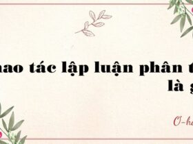 Thao tác lập luận phân tích là gì?