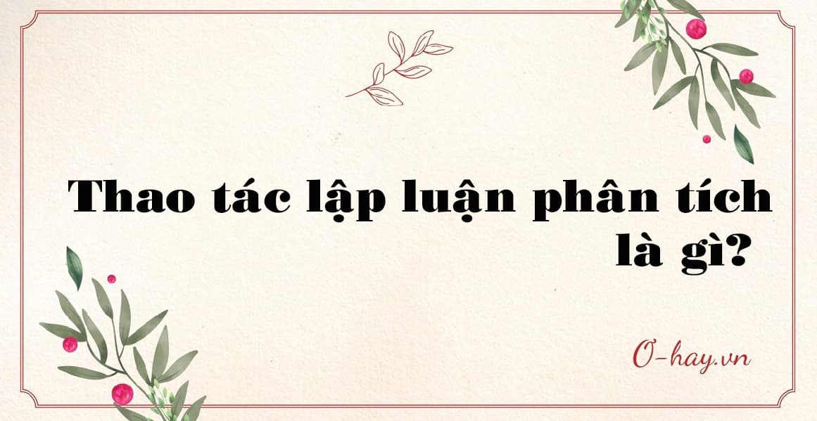 Thao tác lập luận phân tích là gì?