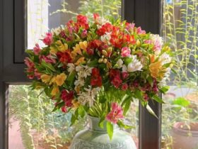 Hoa Thủy Tiên ý nghĩa phong thủy