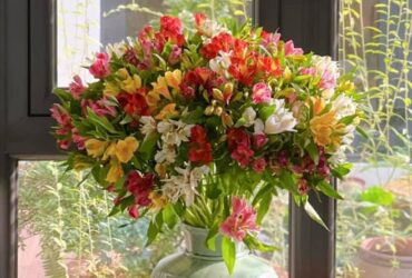 Hoa Thủy Tiên ý nghĩa phong thủy