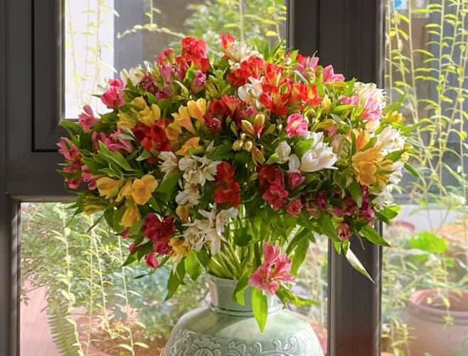 Hoa Thủy Tiên ý nghĩa phong thủy