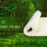 Nệm cao su thiên nhiên là gì