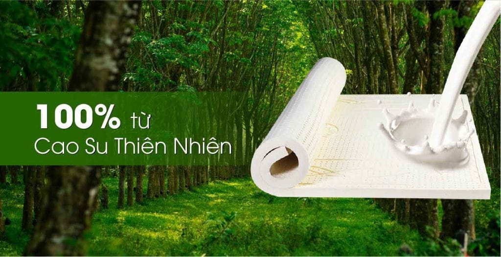 Nệm cao su thiên nhiên là gì